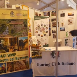 Participation in fairs